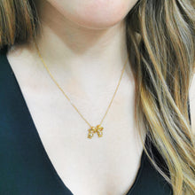 Cargar imagen en el visor de la galería, Collar de 2 Niños Shine
